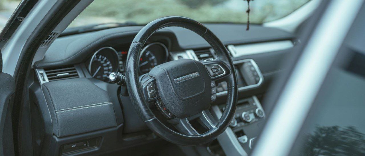 一级级黄 一级级黄